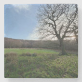 Tree view.. steinuntersetzer (Vorderseite)