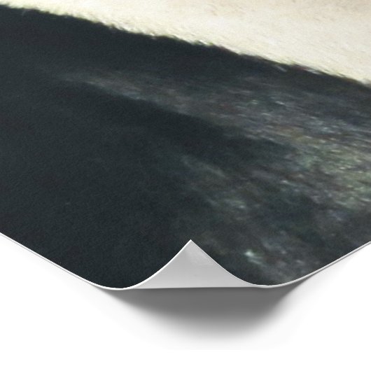 Tree Walker Coonhound Snowy Woods Poster (Ecke)