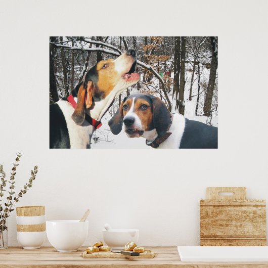 Tree Walker Coonhound Snowy Woods Poster (Küche)