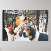 Tree Walker Coonhound Snowy Woods Poster (Vorne)