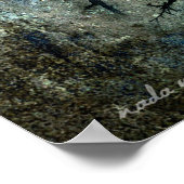 Tree Walker Poster (Ecke)