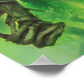 Treebeard Poster (Ecke)