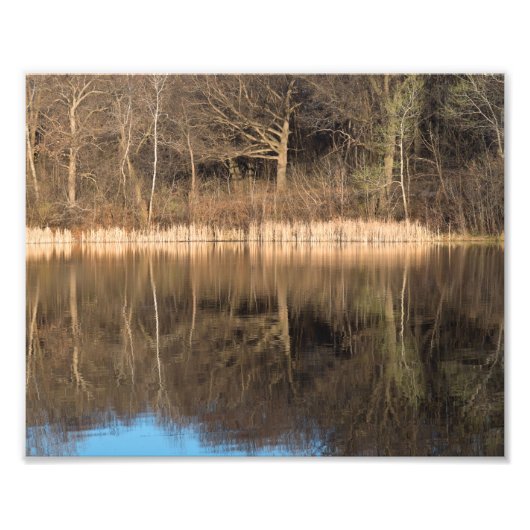 Treeds und Reflections im Marthaler Park Fotodruck (Vorne)