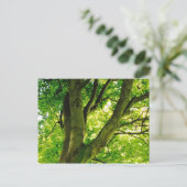 Treee Postkarte (Stehend Vorderseite)