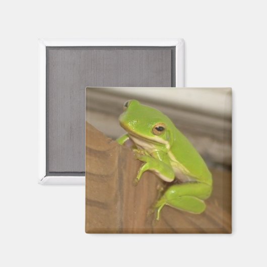TreeFrog1 Magnet (Vorderseite/Rückseite)