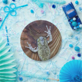 Treefrog auf Zedernzaun Pappteller (Party)