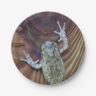 Treefrog auf Zedernzaun Pappteller