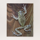 Treefrog auf Zedernzaun Puzzle (Vertikal)