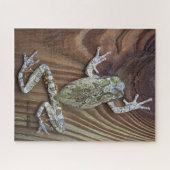 Treefrog auf Zedernzaun Puzzle (Horizontal)