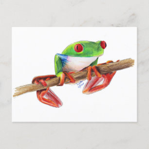 Treefrog Frog süße Tier Illustration Postkarte