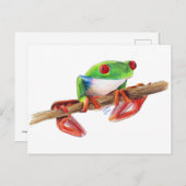 Treefrog Frog süße Tier Illustration Postkarte (Vorne/Hinten)