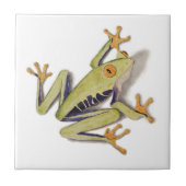 treefrog.jpg fliese (Vorderseite)
