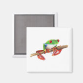 Treefrog Treefrog Frosch süße Tier Illustration Ma Magnet (Vorderseite/Rückseite)