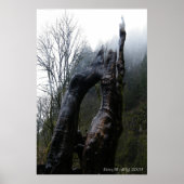 Treegina Poster (Vorne)