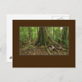 TreeHouse Montage Postcard Postkarte (Vorne/Hinten)