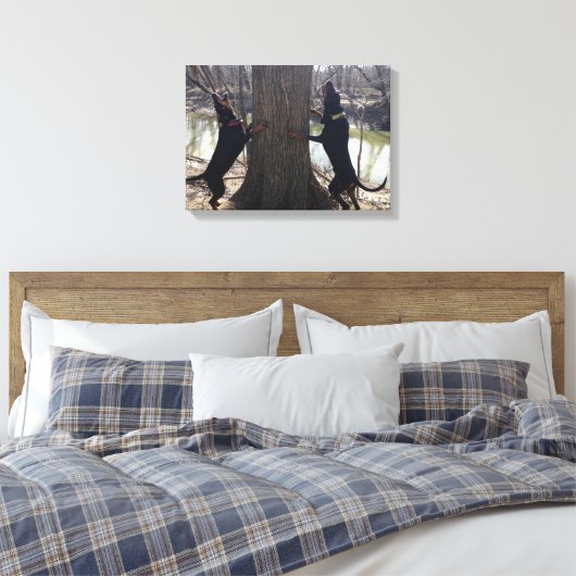 Treeing Coon Hounds Leinwand (Insitu (Schlafzimmer))