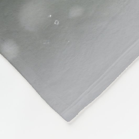 Treeing Walker Coonhound Hund in Schnee Weihnachte Fleecedecke (Ecke)