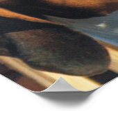 Treeing Walker Coonhound Poster (Ecke)