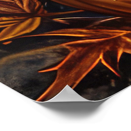 Treeing Walker Halloween Spooky Poster (Ecke)