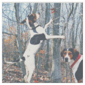 Treeing Wanderercoonhound-Gewebe, zum ungefähr zu Stoff (Nahaufnahme)