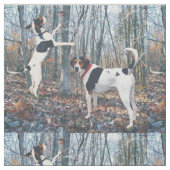 Treeing Wanderercoonhound-Gewebe, zum ungefähr zu Stoff (Muster)