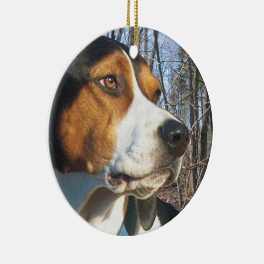 Treeing WandererCoonhound im Holz Keramik Ornament (Rechts)