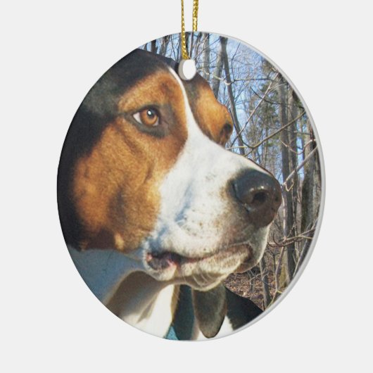 Treeing WandererCoonhound im Holz Keramik Ornament (Links)