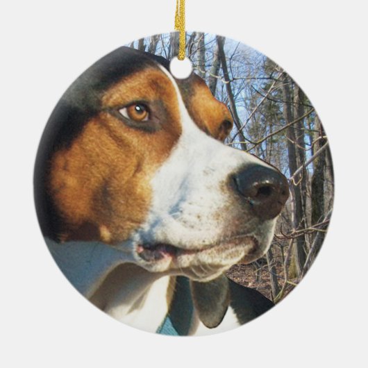 Treeing WandererCoonhound im Holz Keramik Ornament (Hinten)
