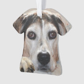 Treeing Wanderercoonhound-Jagdhund Ornament (Vorderseite)