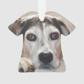 Treeing Wanderercoonhound-Jagdhund Ornament (Rückseite)