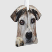 Treeing Wanderercoonhound-Jagdhund Ornament (Vorderseite)