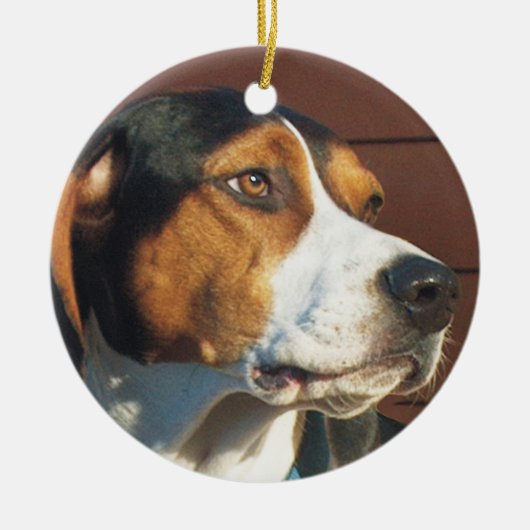 Treeing WandererCoonhound Keramikornament (Vorne)