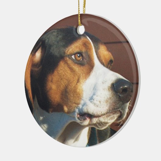 Treeing WandererCoonhound Keramikornament (Links)