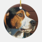Treeing WandererCoonhound Keramikornament (Hinten)