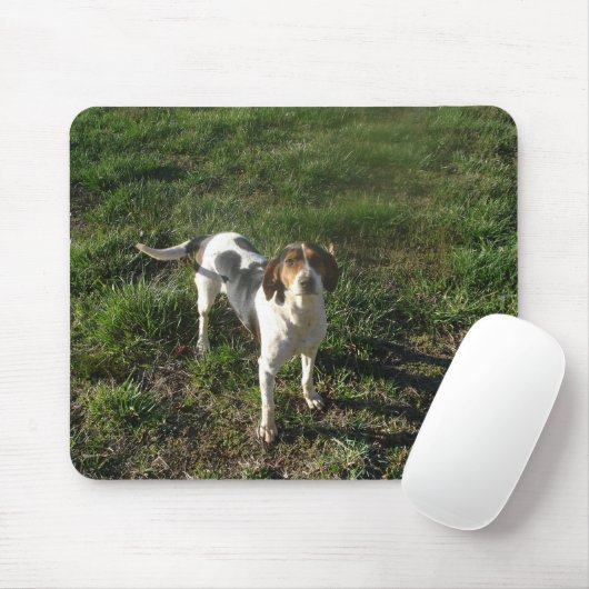 Treeing WandererCoonhound Mousepad (Mit Mouse)