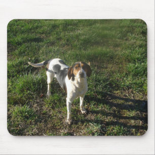 Treeing WandererCoonhound Mousepad