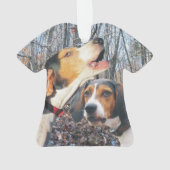 Treeing WandererCoonhound Ornament (Rückseite)