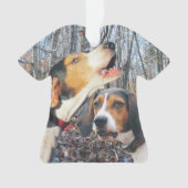 Treeing WandererCoonhound Ornament (Vorderseite)