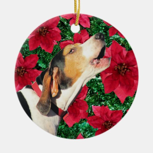 Treeing Wanderercoonhound-Poinsettias Keramikornament (Vorne)