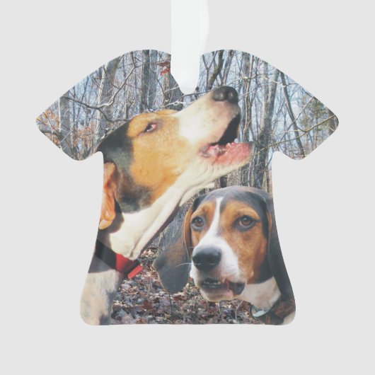 Treeing Wanderercoonhound-Weihnachtsverzierung Ornament (Vorderseite)