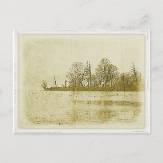 Treeline Postkarte (Vorderseite)