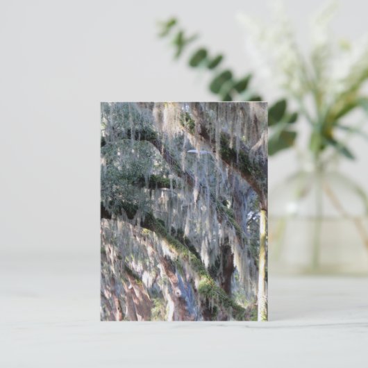 TreeLined Postkarte (Stehend Vorderseite)