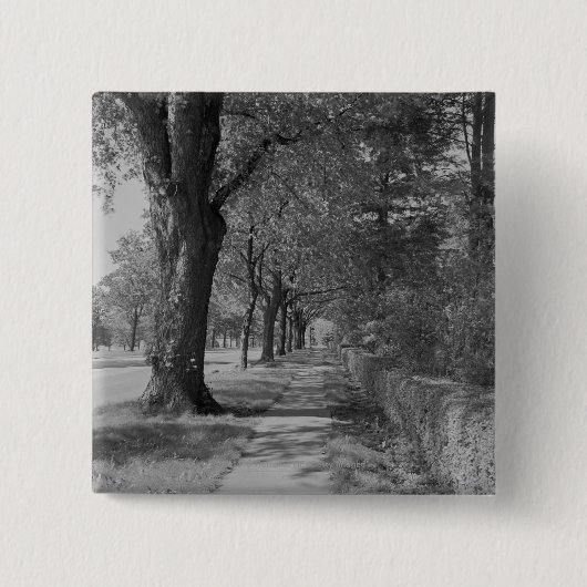 Treelined Straße mit Bürgersteig Button (Vorderseite)