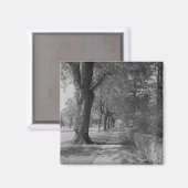 Treelinierte Straße mit Gehweg Magnet (Vorderseite/Rückseite)