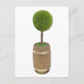 TreePlantedRainBarrel050811 Postkarte (Vorderseite)
