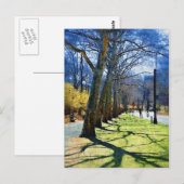 Trees Central Park NY Postkarte (Vorne/Hinten)