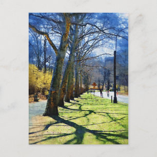 Trees Central Park NY Postkarte