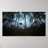 Trees & Fog, Poster (Vorne)