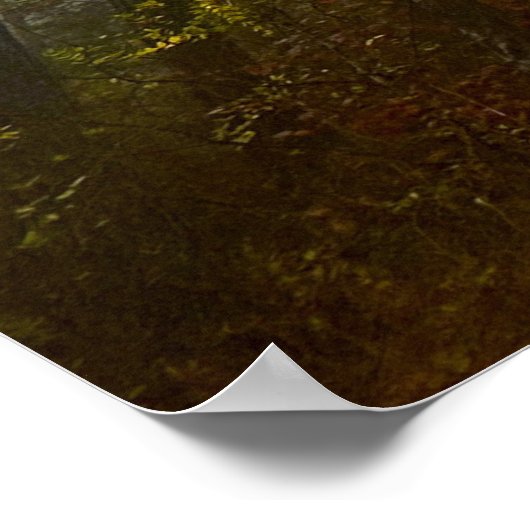 Trees & Fog,  Poster (Ecke)