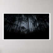Trees & Fog, Poster (Vorne)
